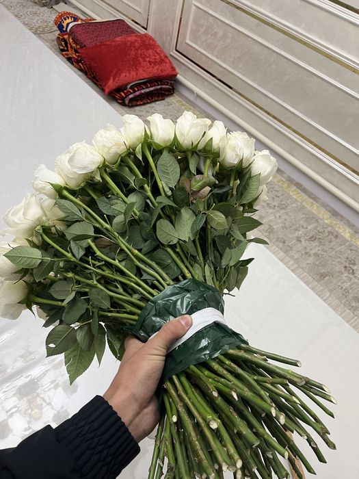 Цветы Шымкент Белый роза. ..