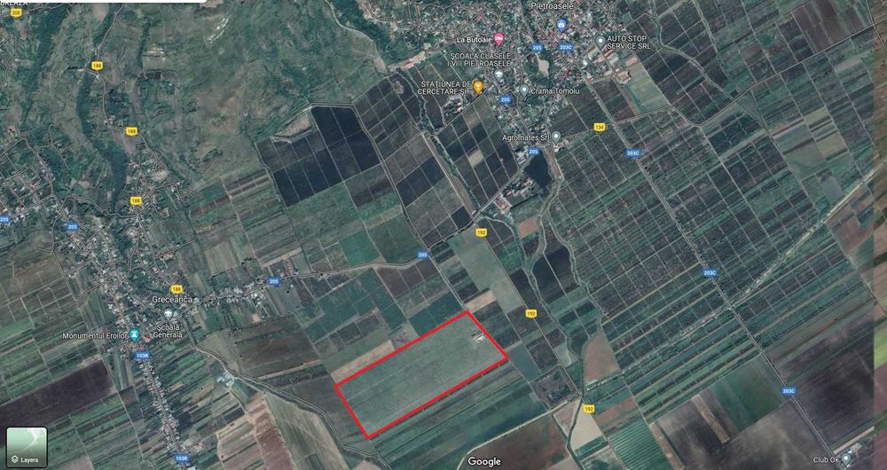 Livada de nuci, pe rod, 42 de hectare