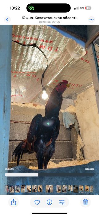 Апрелски веетнам микс