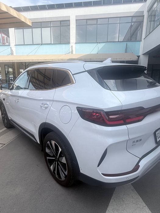 Byd chempion  SMART 2025