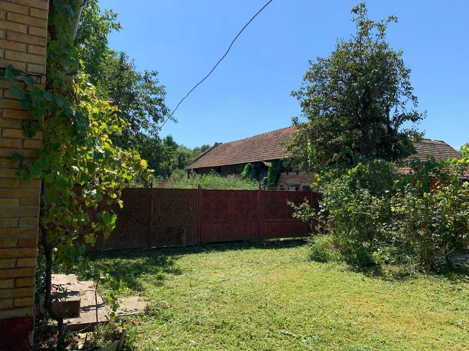 Casă cu teren generos 2275mp la Uliuc (20km de Timișoara) | Accept schimburi