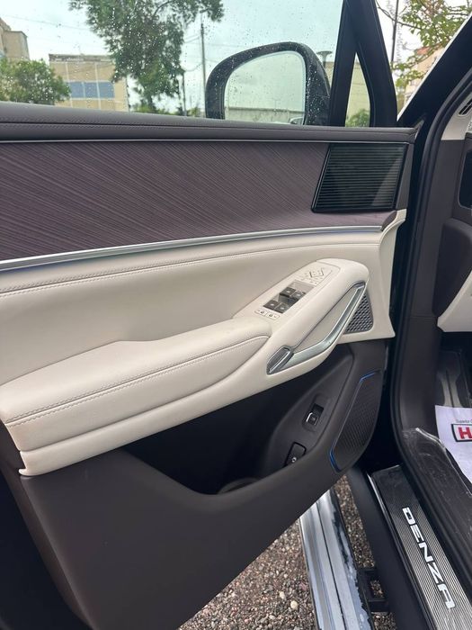 Denza N9 restailing! Srochna