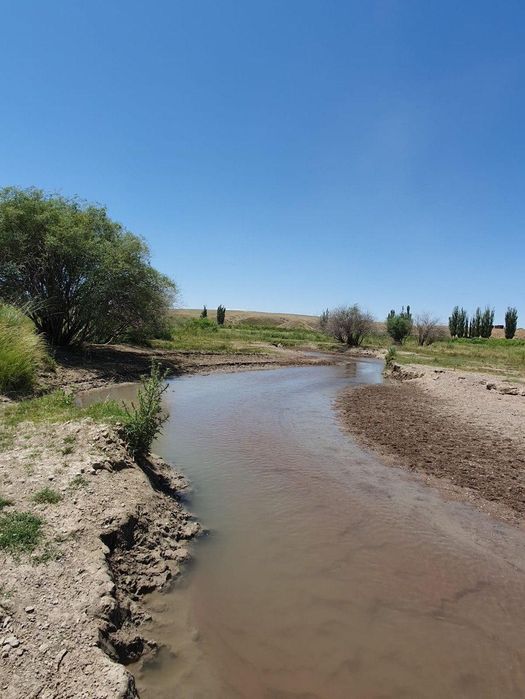 КХ , 150 га , Мынбаев - Айкым