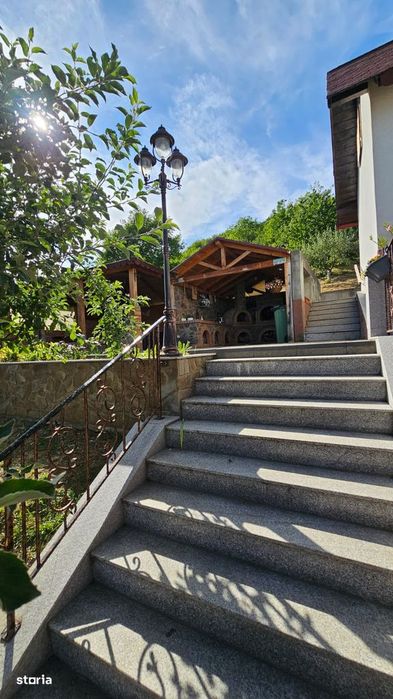 Proprietate deosebită în Viisoara•Casa+anexe+28arii teren