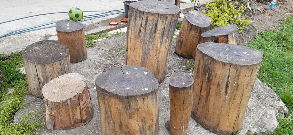 Trunchi (Butuci) din Nuc