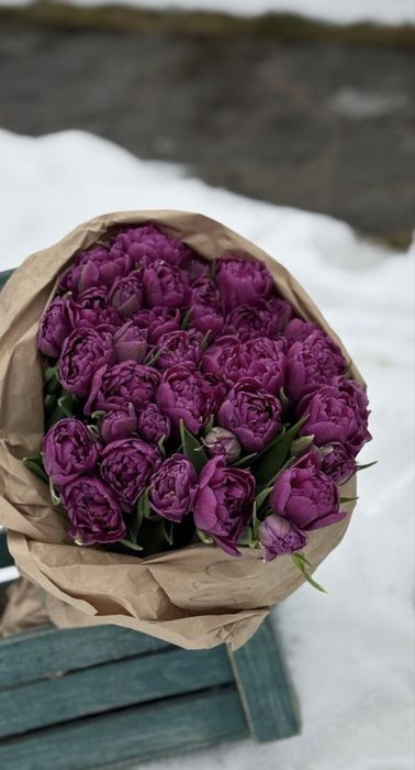 тюльпаны не дорогие свежие