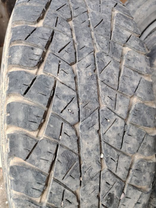 Продам пара, шины,