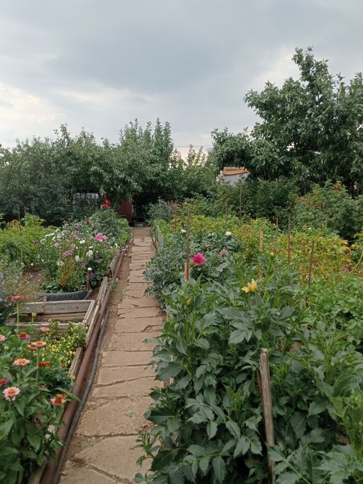 Продам      дачу