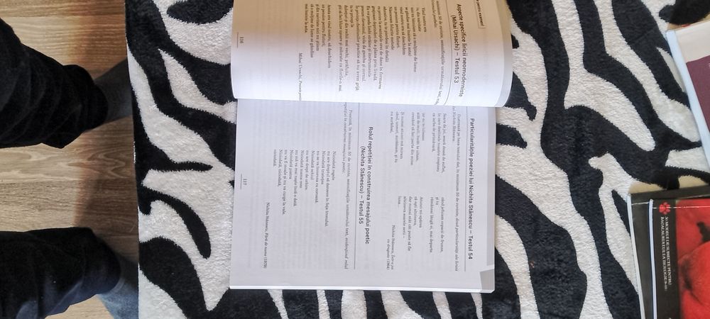 Carte Limba și literatura română bacalaureat varianta 2024