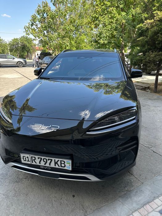 Byd chepiyon 605