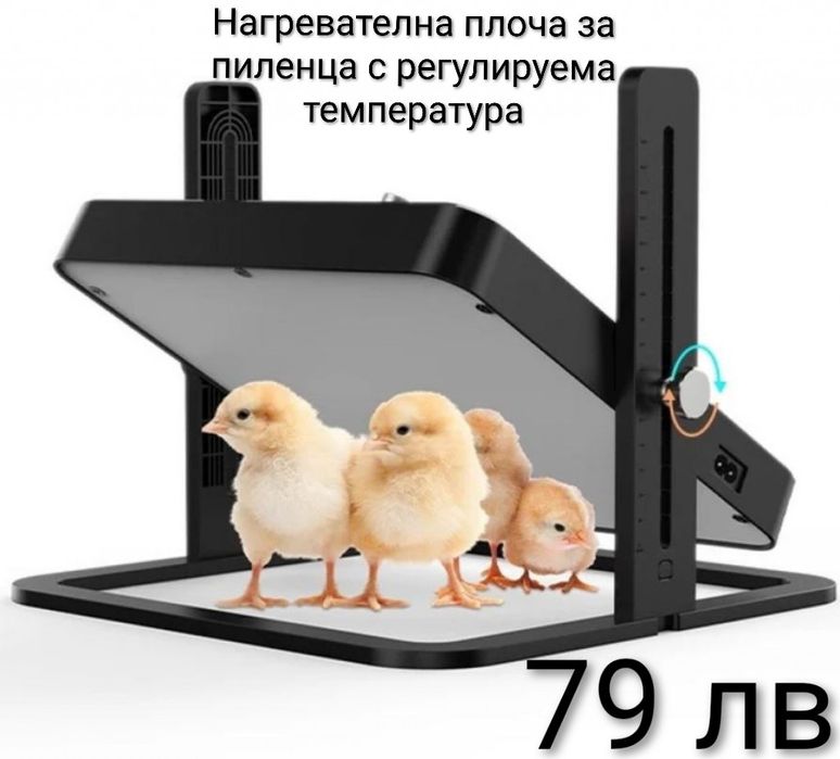 Нагревателна плоча за пиленца