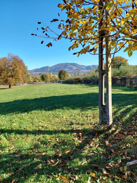 Teren intravilan