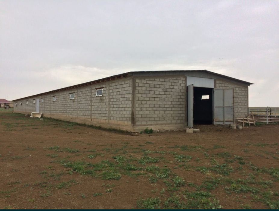 Крестьянское хозяйство