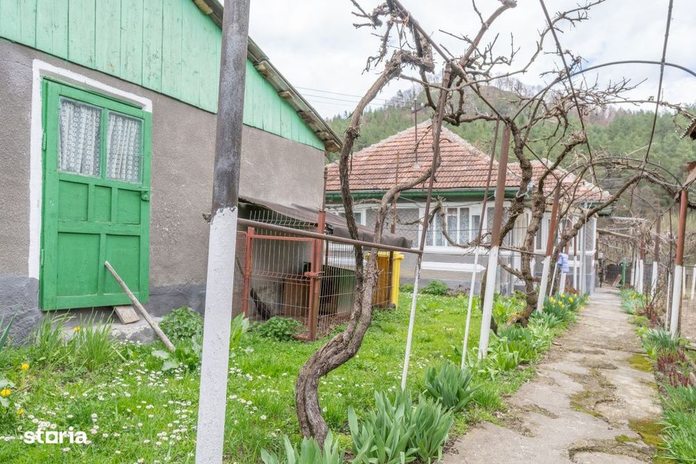 Acasa nu e un apartament. E pe Pietrosu nr. 8, in Zemes.
