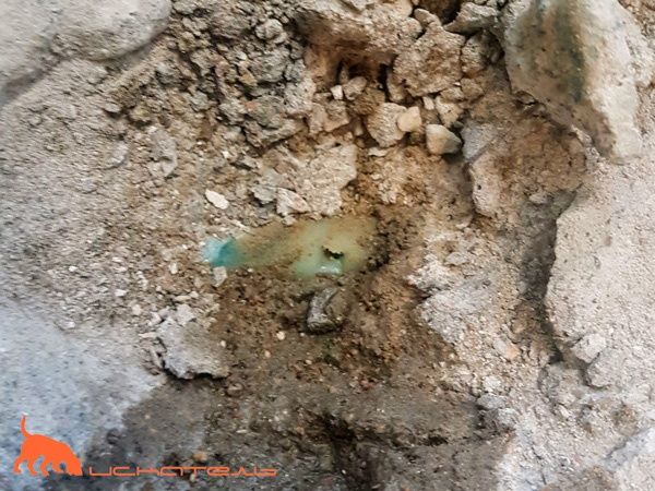 Услуга типловизр . Обнаружение утечка