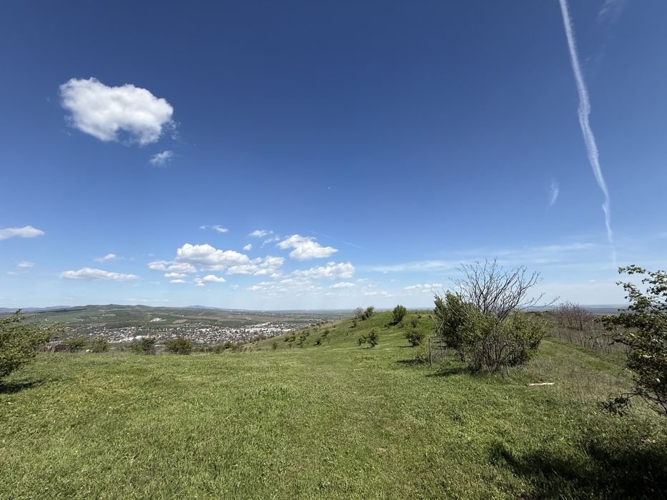 11,6 hectare de teren extravilan+intravilan, Urlati/Valea Calugareasca-Zona: releu/Valea Mieilor