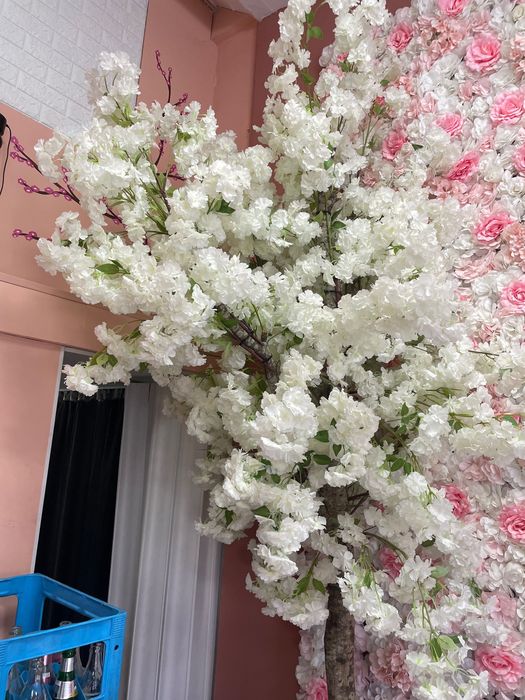 Продавам декоративно дърво!