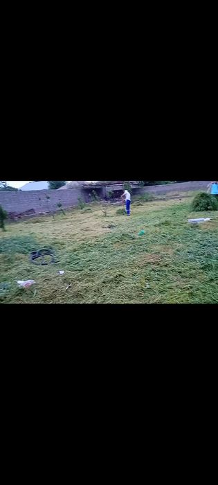 Шоп ору.Косит траву.
