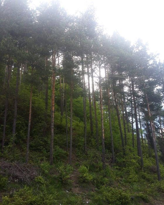 Квартири под наем, гр. Смолян
