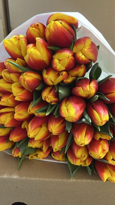 Тюльпаны оптом и в розницу