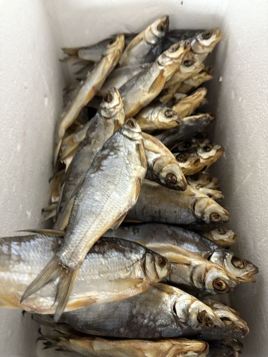 Отборочный сушенный ребец