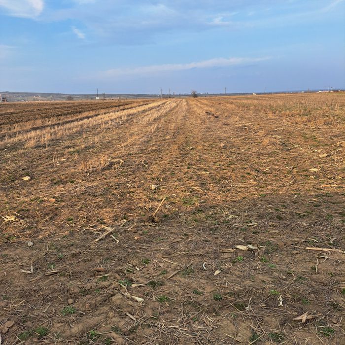 De vânzare teren în Marginea – zona Fântâna Hordnic