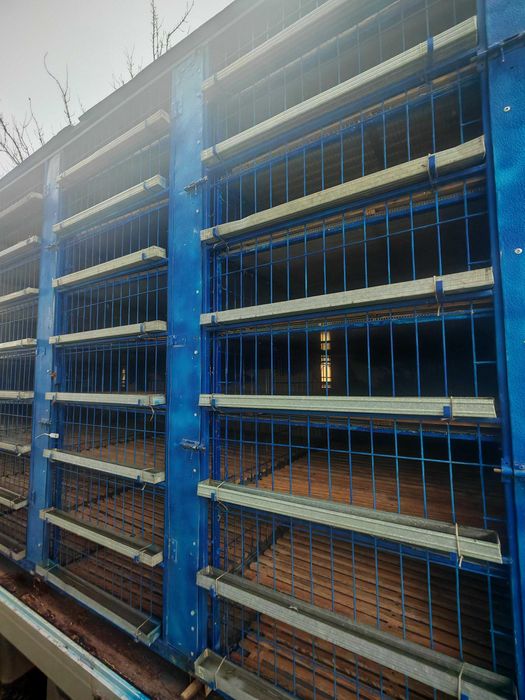 Autoutilitara de transport porumbei - doar Container , cusca porumbei