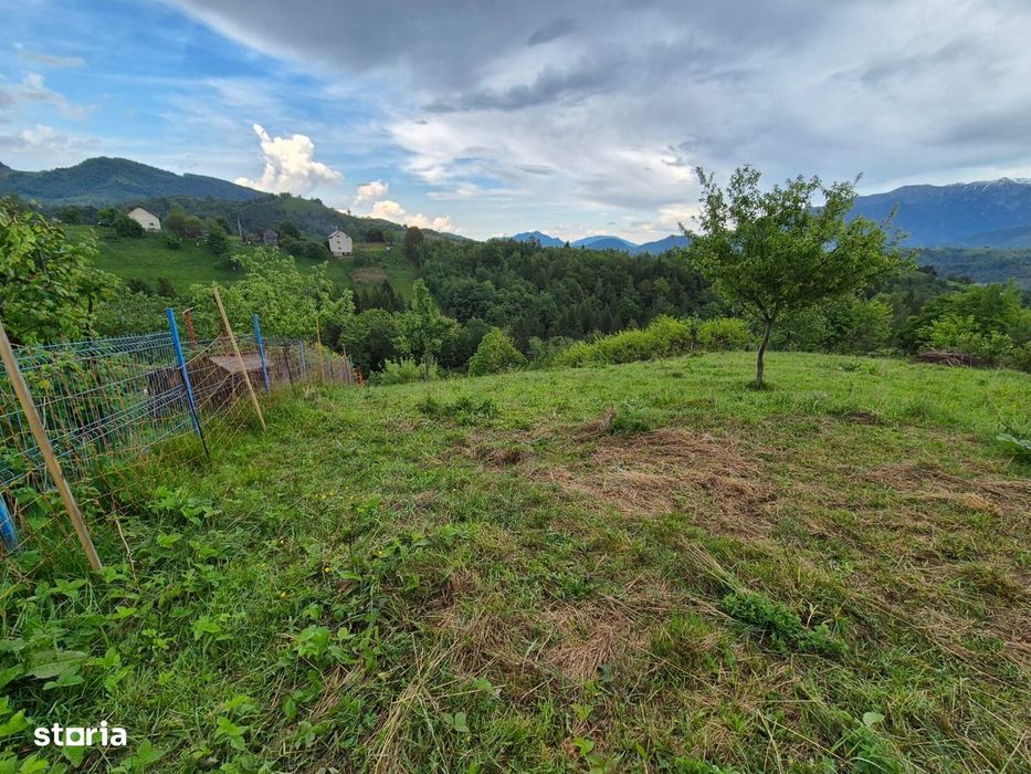 Pestera, satul de poveste din Brasov, 3456 mp teren