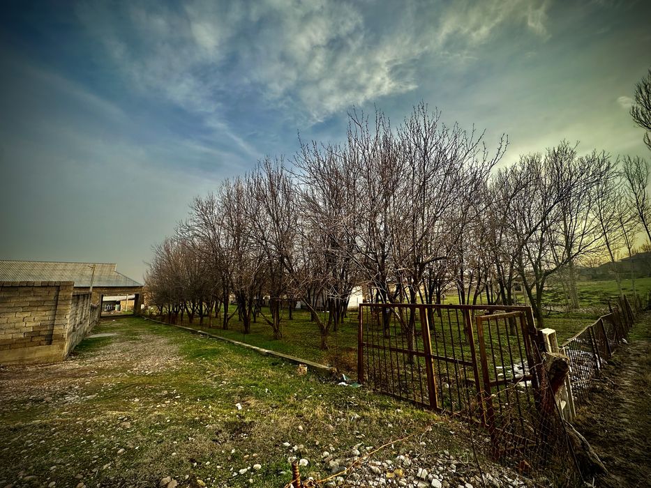 Arzon yer toshken viloyati nurafshon shaxar 16sotih