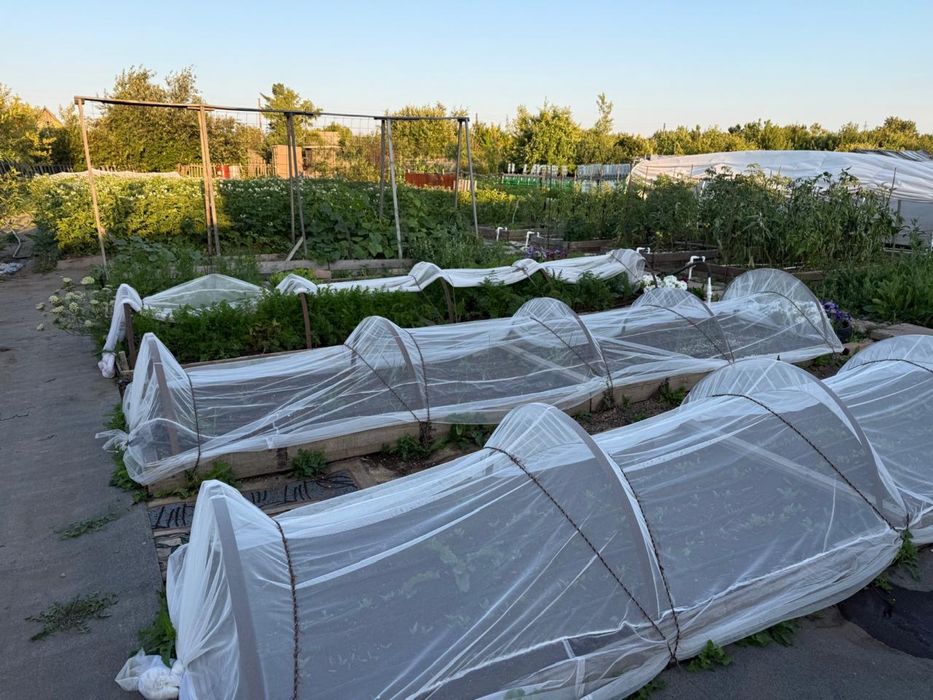 Продается дача ДО Черемушки