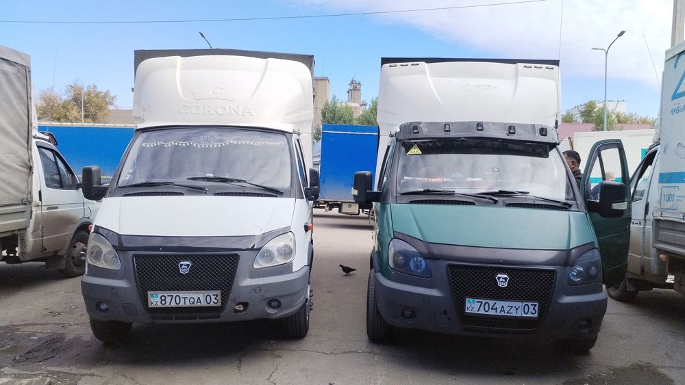 Вывоз мусора, Мусор