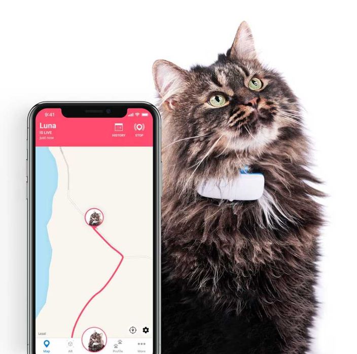 Dispozitiv monitorizare, GPS pentru pisici, Tractive GPS CAT 4