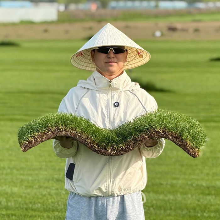 Газон рулонный живой туи ели озеленение участка Алматы q69