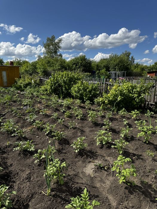 Продам ухоженную дачу с/т Ромашка