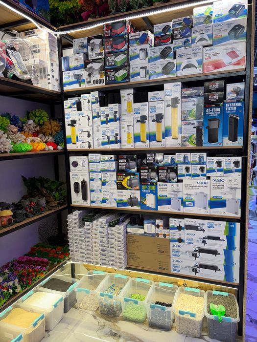 Akvarum va baliq magazin