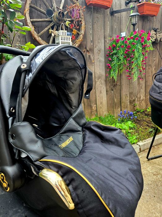 3в1 Количка Baby Active Glossy Gold