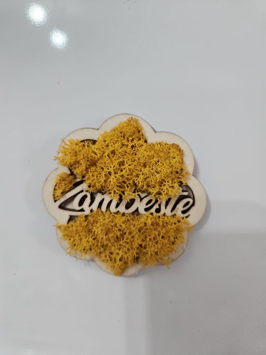 Magnet pentru frigider - Zambeste