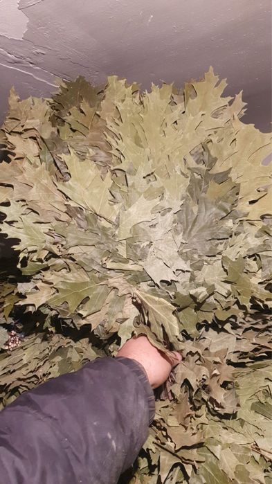 Продам веник березовый