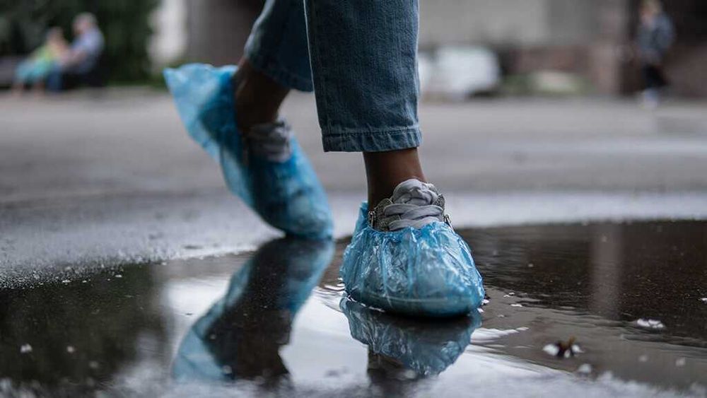 Бахилы для офиса. Офис учун бахила. Офисные бахилы.