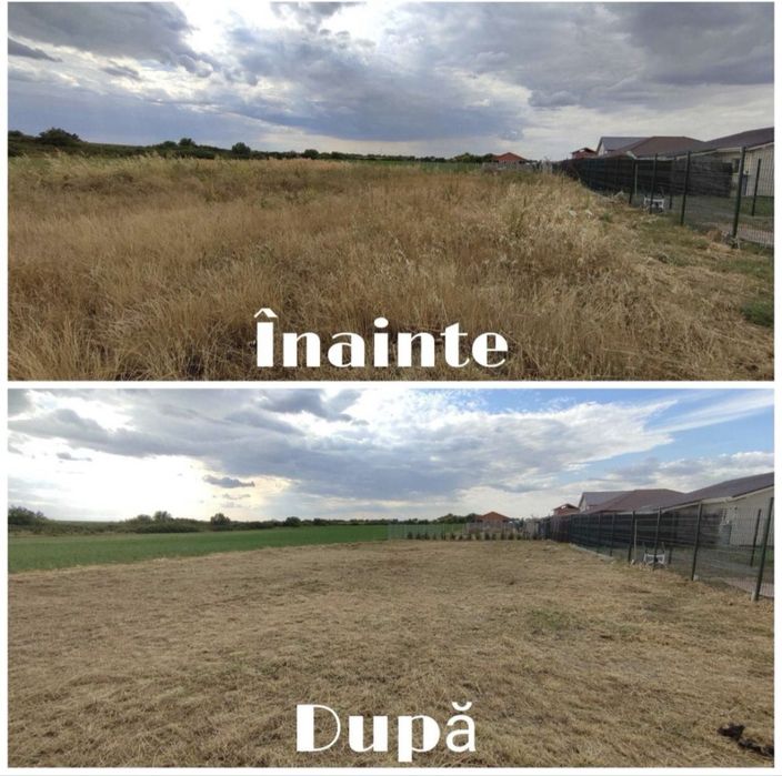 Tund iarba si buruienile cu motocoasa