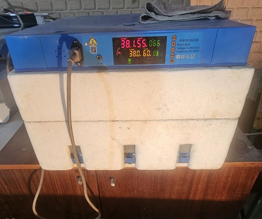 Инкубатор 128 талик