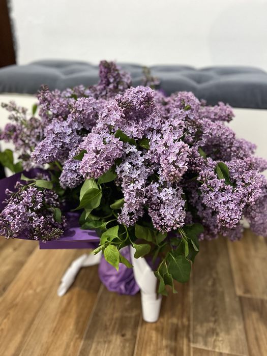 Цветы сирень продается