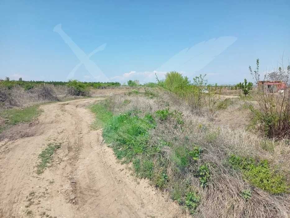 Земеделска земя в с. Брестник 43865