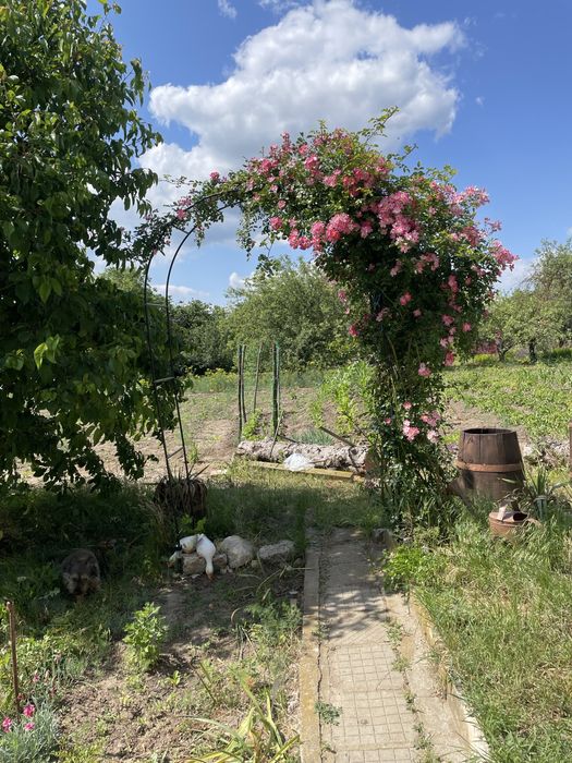 Продава се Къща в с. Иглика, Област Шумен - 90 кв.м за 391 €/кв.м - Снимка #1