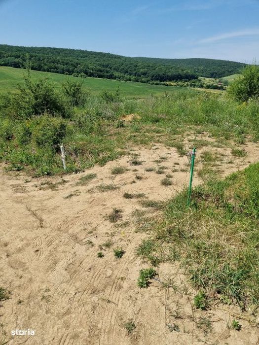REPREZENATRE EXCLUSIVĂ! Teren intravilan constructii, zona superba, L