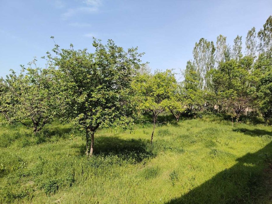 Yer uchaskasi sotiladi