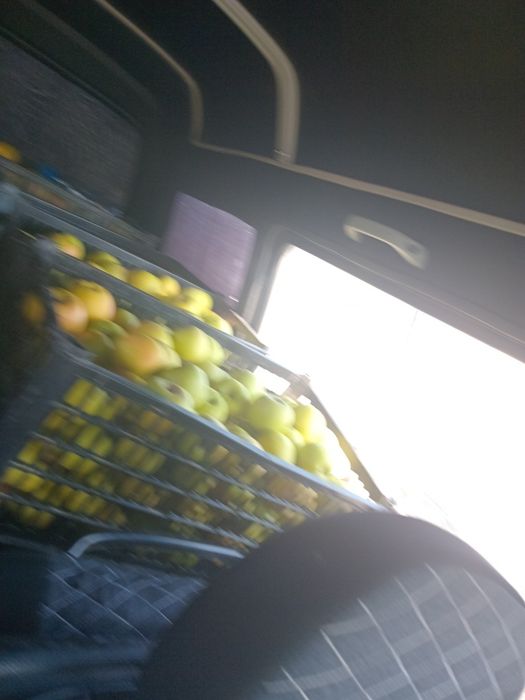 Олмалар сарик  кизил