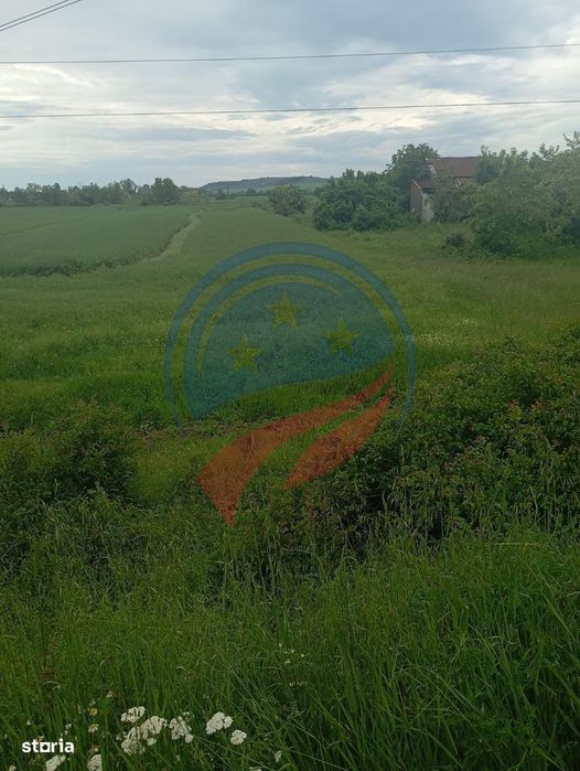 Teren 7140 mp de vanzare Murgasi - Oportunitate  investiție
