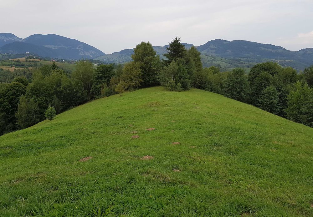 Teren Drumul Carului 3.8 ha