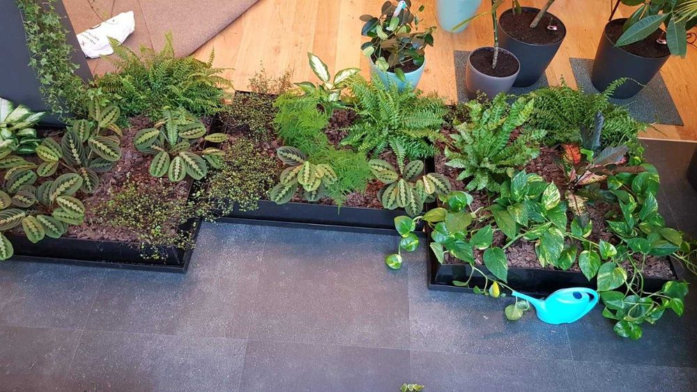 ghiveci plastic/ jardiniera polietilena/ suport ghivece flori